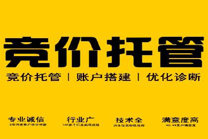 百度SEM代运营案例揭秘，如何实现ROI最大化